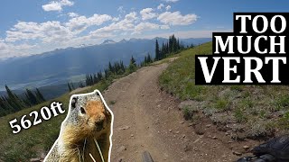 Revelstoke Bike Park Will Make Your Arms Fall Off