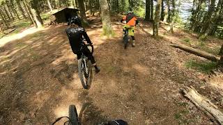 VTT trail Vosges Markstein #Multiworld #trailforks