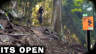 Bunya Mountains NEW trail network! | Mountain...