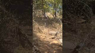 Shoot the chute #chute #steep #shorts #mtb...