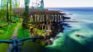 This Small Island is a MTB Dreamland! Hornby...