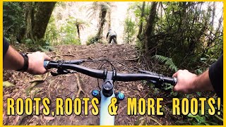 Narrow Trail, Big Roots: Riding 'Dammit Janet'...