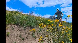 Lupine Trail to Gunsight Trail near Crested Butte.