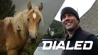DIALED S5-EP31: Taking wrong turns to...