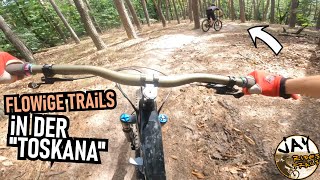 PFÄLZERWALD Eckkopf Trails: ganz viel Flow in...