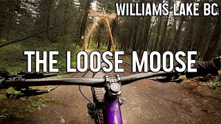 The Loose Moose - Williams Lake Mountain Biking