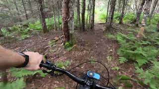 Antler Alley (Backside of Doctor D) 2023 4K