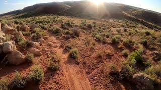 McCoy Flats-Got Milk and Festicle MTB...