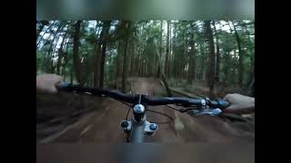 Jack’s Trail MTB