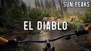 Fresh Trails on Mount Morrisey - Sun Peaks