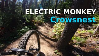 Electric Monkey | Crowsnest Pass, AB