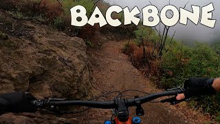 Backbone Trail Kanan to Encinal Canyon and...