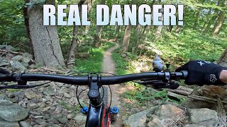 Dane's Run Mt Penn PA