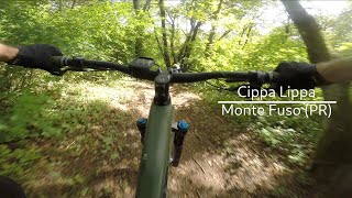 Monte Fuso (PR) - Cippa Lippa Trail
