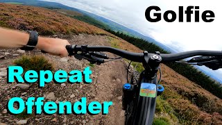Repeat Offender - Golfie 2023