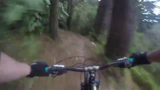 Damiens Via Hippies : Mt Vic