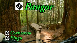 Corkscrew, Pingu and Pangor