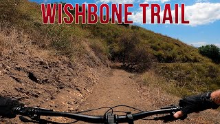 Down & Out Into Wishbone Trail - Mountain...