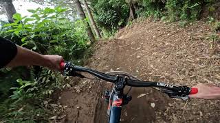 Sweet Spot @ Mangamahoe MTB Park
