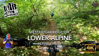 MTB Riding Alpine, Lower Alpine Trail,...