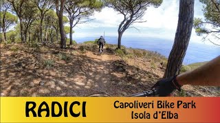 Sentiero RADICI con panorama sulla costa...
