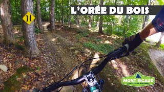 L'ORÉE DU BOIS//2023//MONT RIGAUD...