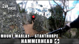 HAMMERHEAD | Mount Marlay - Stanthorpe | RAW...
