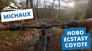Southern Michaux Slabs! Hobo, Ecstasy, &...
