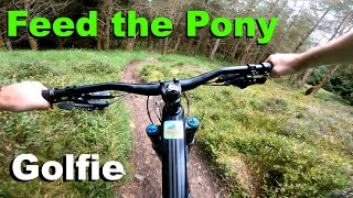 Feed the Pony - Golfie 2023
