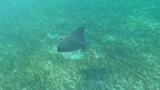 Turks and Caicos
