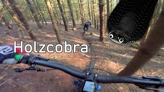 Let's Ride MTB - Neckarsteinach // Holzcobra -...