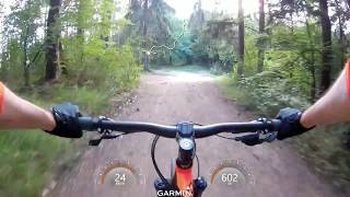 LH trail - Cibulník + Modrá korienky