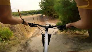MTB-Serres:  Cropped Shirt Trail