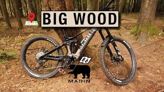 BigWood on the Marin Alpine Trail E2