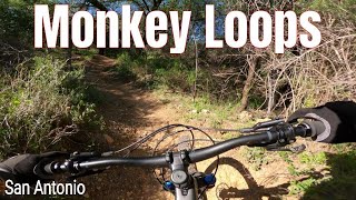 Monkey Loops in San Antonio!