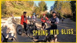 Rotorua's Spring Bliss: MTB Escapades in the...