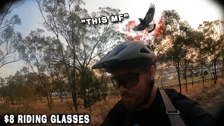 These Riding glasses were $8 | Magpie Swoops