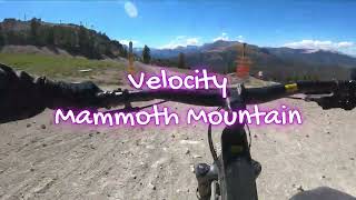 Velocity - Advanced MTB Trail - Mammoth...