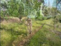 El Dorado Trail Single Track