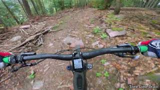MTB Ziegelhausen - Tree Line Trail