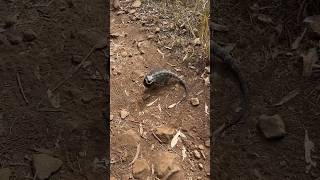 We went down #mtb #mountainbiking...