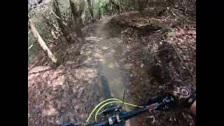 Shredding Black Mountain - Upper, Middle, and...