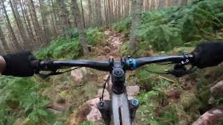 The Reaper trail aboynenew