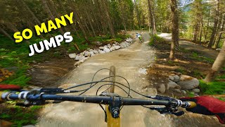 This Trail Took 2 Years to Build