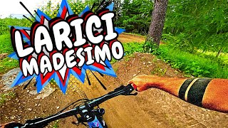 Larici - Madesimo Bikepark