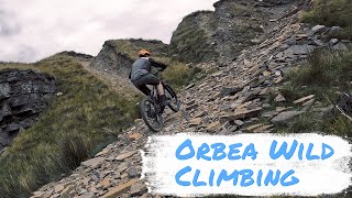 Orbea Wild M10 2023 - Hill Climb challenge!...