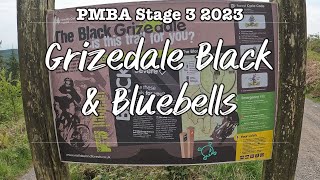 Grizedale Black into Bluebells MTB Trail  -...