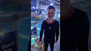 Junior Shark Dive Experience | Blueplanet...