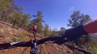 Land of the Pioneers Trail #651