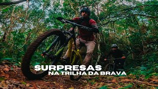 Caminho do Rei/Brava